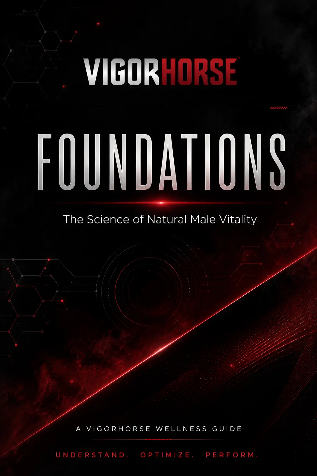 VigorHorse Foundations bonus guide